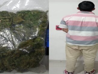 Por la presunta posesión de hierba verde seca con las características propias de la marihuana, Policías Municipales de Aguascalientes detienen a una persona en Paseos de San Antonio