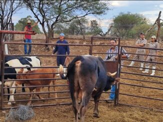 Invita Municipio de Aguascalientes a pequeños productores Pecuarios a inscribirse en la clínica veterinaria ambulatoria 2024