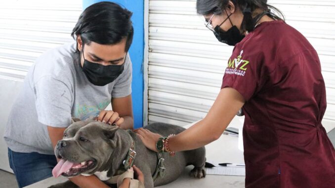 PROESPA llevará servicios veterinarios gratuitos al Municipio de Asientos este 7 de marzo