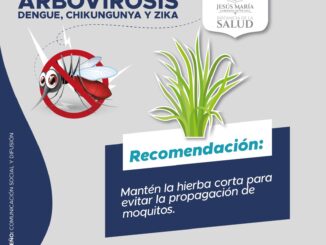Gobierno de Jesús María emite recomendaciones para evitar infecciones arbovirales