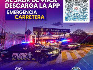 Viaja seguro con la App Emergencia Carretera