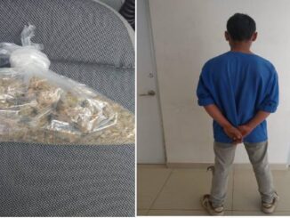 En posesión de aproximadamente 44 gramos de hierba verde seca con las características propias de la marihuana, Policías Municipales de Aguascalientes detienen a una persona