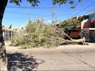Emite Protección Civil Municipal de Aguascalientes recomendaciones ante la presencia de ráfagas de viento