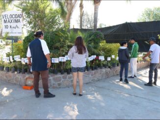 Invita Vivero Municipal a adoptar plantas y árboles