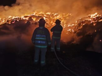 Bomberos atienden reporte de incendio de pastura