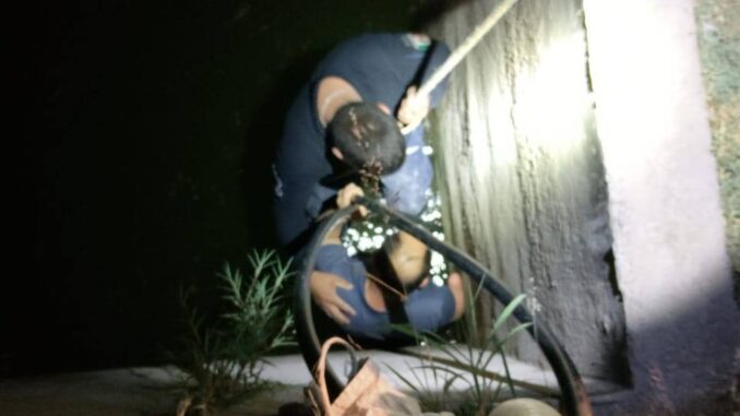 Atienden a persona lesionada por caída en pileta