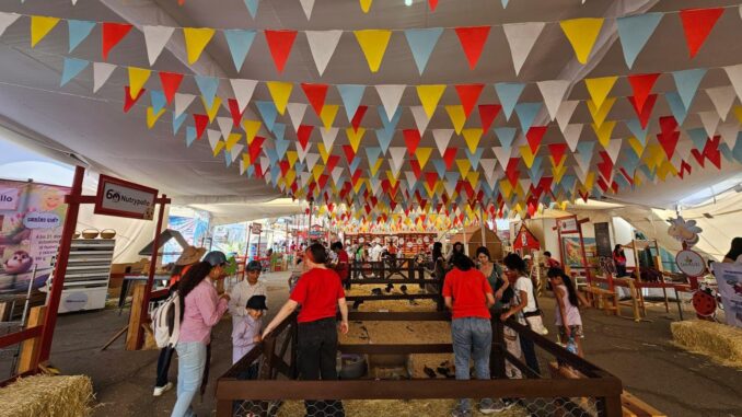 Todo listo para festejar a las niñas y niños en la Isla San Marcos