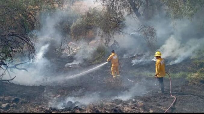 Reitera Protección Civil Municipal llamado a seguir medidas de prevención de incendios forestales y de pasto seco