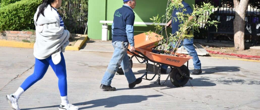 Llama Municipio de Aguascalientes a la ciudadanía adoptar árboles y plantas para contrarrestar los efectos climáticos