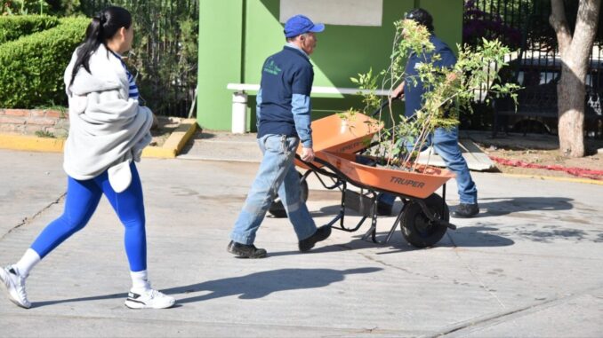 Llama Municipio de Aguascalientes a la ciudadanía adoptar árboles y plantas para contrarrestar los efectos climáticos