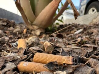 MIAA llevará a cabo el "Colillatón" en el marco del Día mundial sin Tabaco