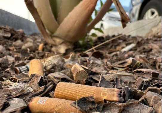 MIAA llevará a cabo el "Colillatón" en el marco del Día mundial sin Tabaco