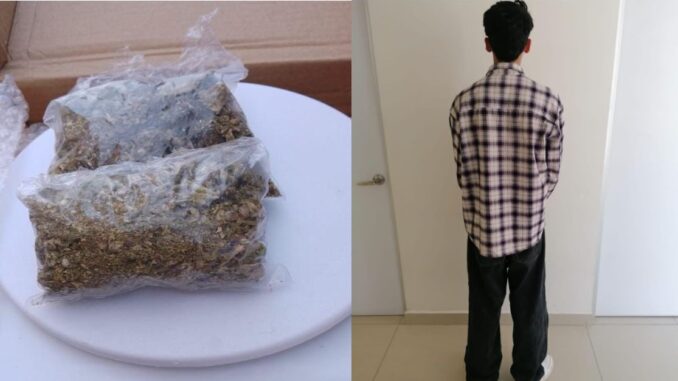 En posesión de dos envoltorios de plástico con hierba verde seca, on las características propias de la marihuana, una persona del sexo masculino fue detenida por Policías Municipales en la calle Tepezalá