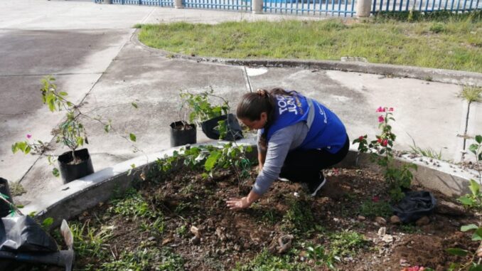 Invita Municipio a escolares a participar en Talleres de Recicliaje y creación de huertos
