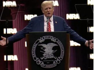 Trump advierte a sus seguirdores que el derecho a portar armas está en juego en noviembre