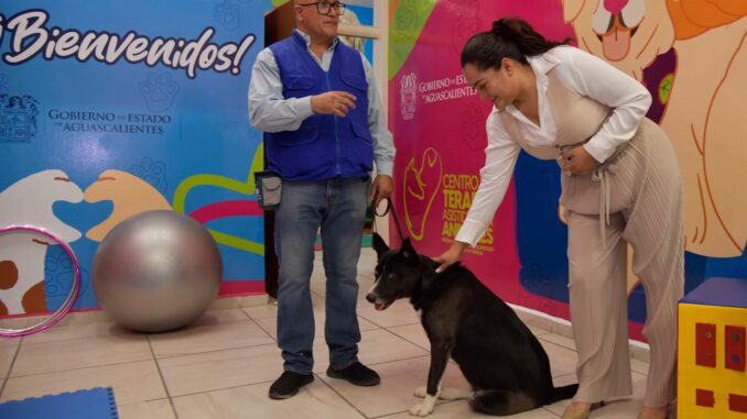 DIF Estatal en Aguascalientes abre Centro de Terapia asistida con animales