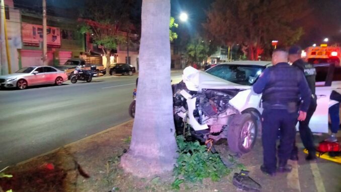 Policías Viales de Aguascalientes atendieron el reporte de accidente contra dos árboles y una palmera