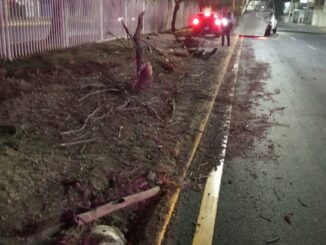 Policías Viales de Aguascalientes atendieron el reporte de accidente contra un poste de alumbrado que se registró sobre Avenida Aguascalientes