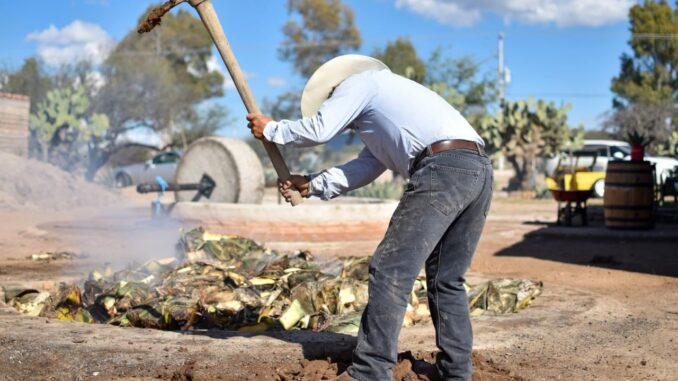 Respalda la SEDRAE a campesinos ante cierre del Tribunal Agrario Local
