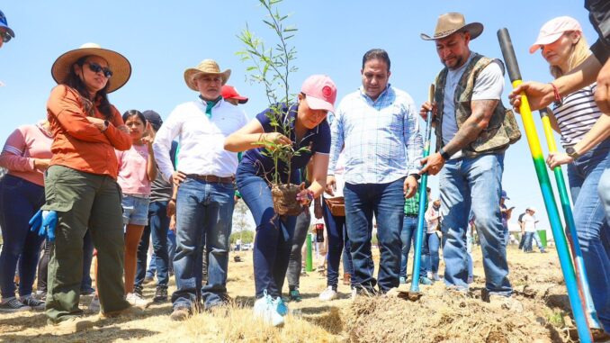 Encabeza Gobernadora Tere Jiménez Jornada de reforestación con especies nativas que tendrán seguimiento