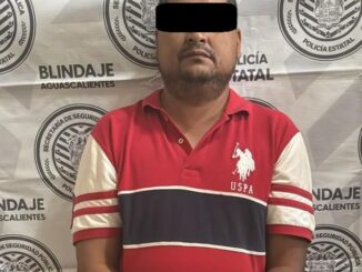 Persona detenida por uso de permiso para circular sin placas falso