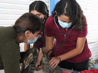 Ofrecerán servicios Veterinarios gratuitos este viernes en el Municipio de Asientos