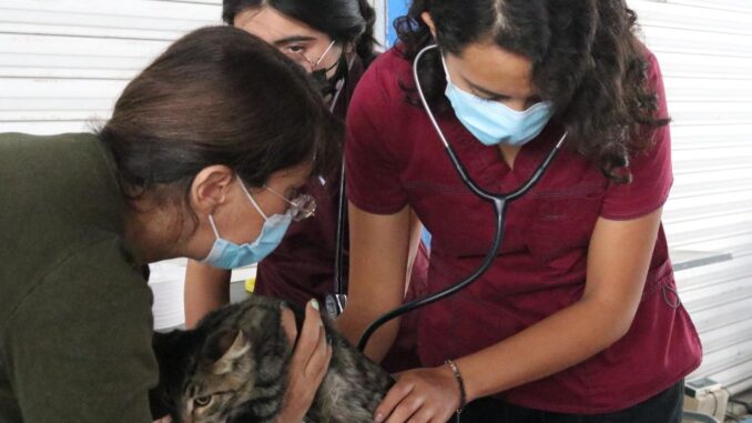 Ofrecerán servicios Veterinarios gratuitos este viernes en el Municipio de Asientos