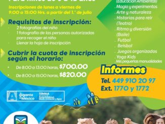 Invitan a los Cursos de Verano en los Parques Rodolfo Landeros y El Cedazo