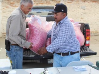 Con el inicio de lluvias, entregan semilla mejorada a más de 2 mil productores de temporal