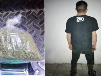 En posesión de aproximadamente 30 gramos de hierba verde seca con las características propias de la marihuana, Policías Municipales de Aguascalientes detienen a una persona en el fraccionamiento Viñedos del Sur