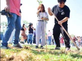 Continúa la Convocatoria para el Premio al Cuidado del Medio Ambiente 2024