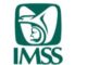 Impulsa IMSS políticas institucionales para cumplir con el principio de paridad de género