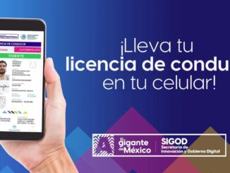 Accede a tu Licencia de Conducir Digital desde tu celular