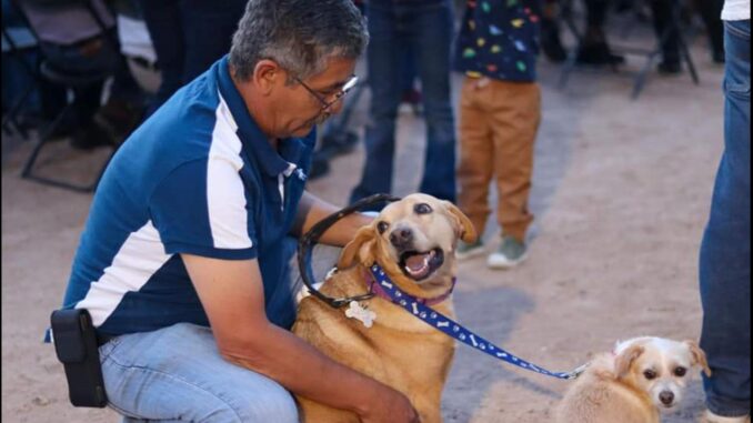 Municipio e ISSEA ofrecerán Cirugías gratuitas de esterilización para caninos y felinos