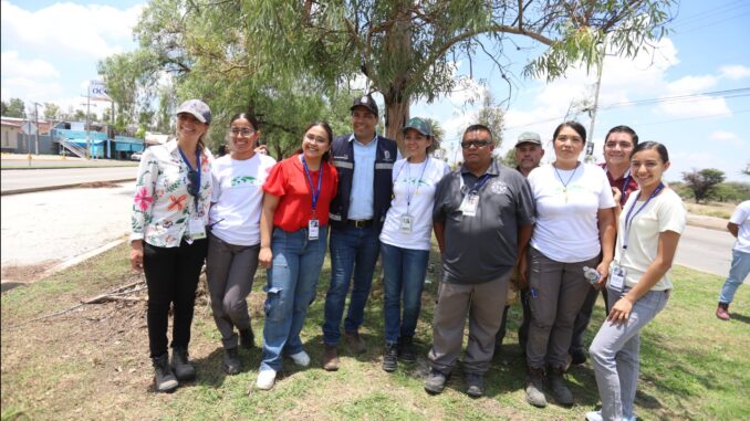 Municipio de Aguascalientes y Empresas reforestan camellones de Aguascalientes