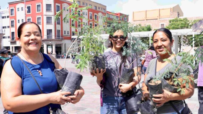 Cientos de familias participaron en la donación de árboles que realizaron Gobierno del Estado y Municipio de Aguascalientes