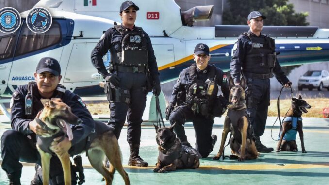 Nuevos Agentes Caninos se integran a la Unidad K9 de la SSPE