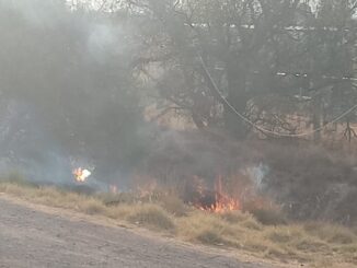 Se atiende reporte de incendio en parque fotovoltaico