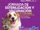 Servicios gratuitos veterinarios este fin de semana en "Expo mi Mascota Favorita"