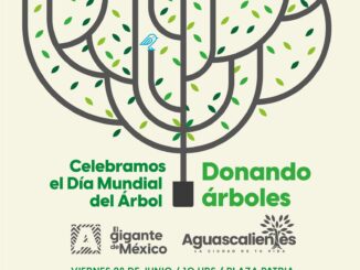 Celebramos el Día Mundial del Árbol...