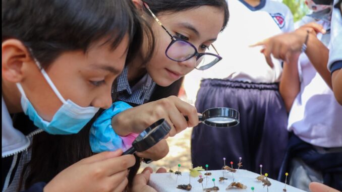 Ofrece SEMADESU Curso de Verano gratuito Vacaciones Felices "Juntos por el Planeta"