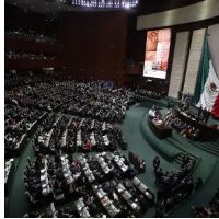 Observatorio Ciudadano pide a INE y TEPJF "hacer valer las normas" que limitan la sobrerepresentación en la Cámara de Diputados
