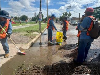 Intensifica Municipio de Aguascalientes Jornadas de limpia de caimanes en Línea Verde