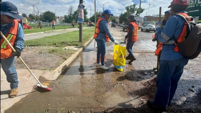 Intensifica Municipio de Aguascalientes Jornadas de limpia de caimanes en Línea Verde