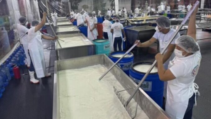 Oaxaca busca récord Guinness creando el quesillo más grande del mundo