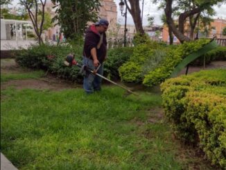 Intensifica Municipio de Aguascalientes trabajos de mantenimiento de áreas verdes