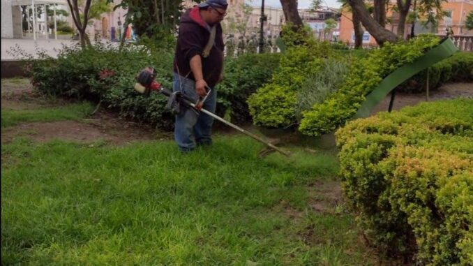 Intensifica Municipio de Aguascalientes trabajos de mantenimiento de áreas verdes