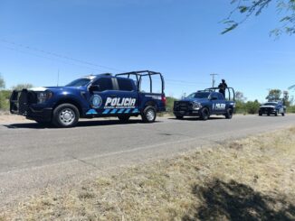 Aseguran placas de circulación apócrifas