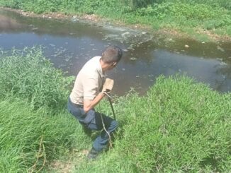 Rescatan a coyote lesionado en canal de aguas