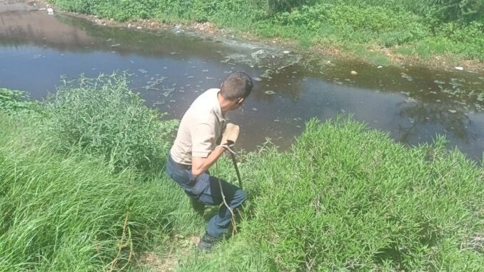 Rescatan a coyote lesionado en canal de aguas